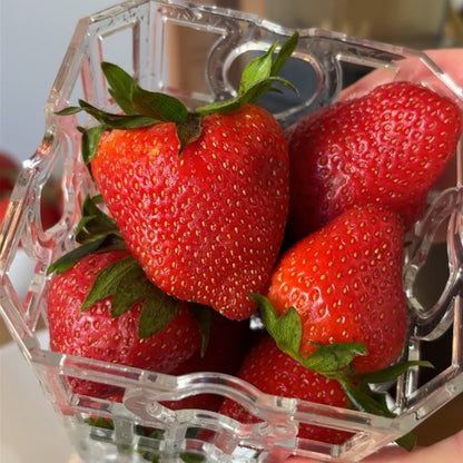 Blend Blaster 9-in-1 Blender Basket